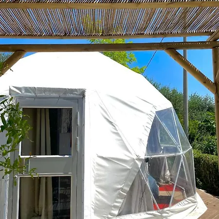 Bed & Breakfast Lemon *