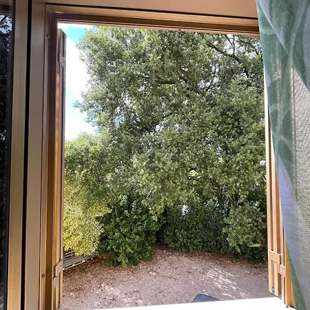 Bed & Breakfast Lemon 3*
